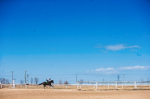 MIKAELA MACKENZIE / WINNIPEG FREE PRESS

A horse gets exercised on the training track at the Assiniboia Downs in Winnipeg on Wednesday, May 6, 2020. For Mike S story.

Winnipeg Free Press 2020