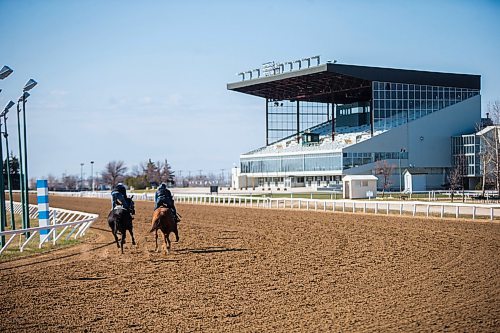 MIKAELA MACKENZIE / WINNIPEG FREE PRESS

Horses exercise on the track at the Assiniboia Downs in Winnipeg on Wednesday, May 6, 2020. For Mike S story.

Winnipeg Free Press 2020