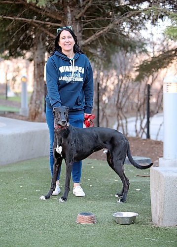 JASON HALSTEAD / WINNIPEG FREE PRESS

Bonnycastle Dog Park regular Melissa Dvorak with her 11-year-old greyhound, Dexter, at the Downtown dog park on May 6, 2020. (See Stacey Thidrickson COVID-19 24-hour story)