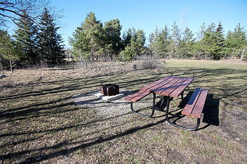 SHANNON VANRAES / WINNIPEG FREE PRESS
A picnic table and fire pit at Birds Hill Campground on May 7, 2020. Those visiting provincial parks or staying at provincial campground will now have to pay a administrative processing fee.