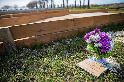 MIKAELA MACKENZIE / WINNIPEG FREE PRESS

Construction in the cemetery has left dozens of rows of graves unmarked at Brookside Cemeterys Field of Honour in Winnipeg on Friday, May 8, 2020. For JS story.

Winnipeg Free Press 2020