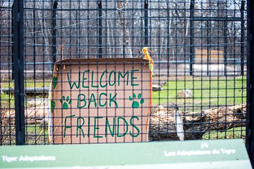 MIKAELA MACKENZIE / WINNIPEG FREE PRESS

The Assiniboine Park Zoo on re-opening day, with new social distancing measures in place, in Winnipeg on Wednesday, May 13, 2020. For JS story.

Winnipeg Free Press 2020