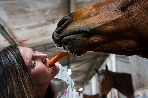 MIKE DEAL / WINNIPEG FREE PRESS
Trainer Shelley Brown has fun feeding Mr. Dazzle a treat at the Assiniboia Downs Thursday morning.
200514 - Thursday, May 14, 2020.