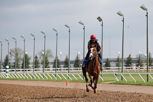 JOHN WOODS / WINNIPEG FREE PRESS
A rider is photographed training at the track at Assiniboia Downs Sunday, May 24, 2020. The Downs is opening their race season tomorrow with an empty grandstand. The races will be televised and online.


Reporter: Allen