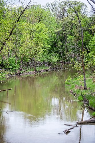 MIKAELA MACKENZIE / WINNIPEG FREE PRESS

The Seine at John Bruce Park in Winnipeg on Thursday, May 28, 2020. For Sarah story.
Winnipeg Free Press 2020.