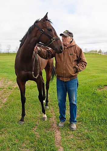 MIKE DEAL / WINNIPEG FREE PRESS
Trainer Murray Duncan with Miss Imperial the who won the first stakes race of the year at Assiniboia Downs
200529 - Friday, May 29, 2020.