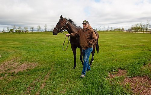 MIKE DEAL / WINNIPEG FREE PRESS
Trainer Murray Duncan with Miss Imperial the who won the first stakes race of the year at Assiniboia Downs
200529 - Friday, May 29, 2020.