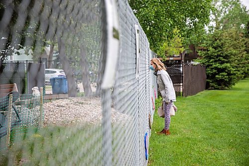 MIKAELA MACKENZIE / WINNIPEG FREE PRESS

Cheryl Hedlund peeks through the fence to watch her parents, Ron and Anne Fetterly, being brought over to the visiting area of the courtyard at Oakview Place care home in Winnipeg on Friday, May 29, 2020. For Eva Wasney story.
Winnipeg Free Press 2020.