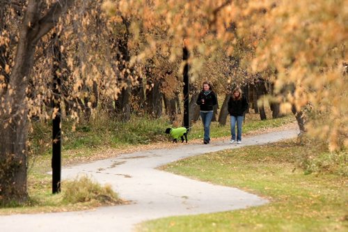 Brandon Sun Katelyn Rempel, with her dog Charlie, and Erin Riddell make their way along the walking trails near Eleanor Kidd Park on Thursday afternoon. (Bruce Bumstead/Brandon Sun)