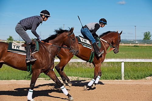 MIKE DEAL / WINNIPEG FREE PRESS
New jockeys at the Assiniboia Downs, Rafael Jr. on Smarty River Pants (right) and his brother Edgar Zenteno on Proud And Loud (left), Friday morning.
See George Williams story
200612 - Friday, June 12, 2020.