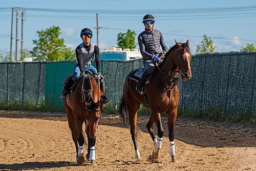 MIKE DEAL / WINNIPEG FREE PRESS
New jockeys at the Assiniboia Downs, Rafael Jr. on Smarty River Pants (left) and his brother Edgar Zenteno on Proud And Loud (right), Friday morning.
See George Williams story
200612 - Friday, June 12, 2020.