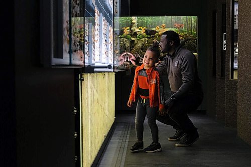 Daniel Crump / Winnipeg Free Press. Jermaine Anderson and his three-year-old son Liam Anderson explore an exhibit featuring insects at the Manitoba Museum. June 13, 2020.