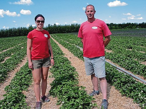 Canstar Community News June 18, 2018 - Angie and Darren Cormier stand in one of the fields that will soon be filled with plump strawberries and people picking them at their family business Cormier's Berry Patch in La Salle. (ANDREA GEARY/CANSTAR COMMUNITY NEWS)