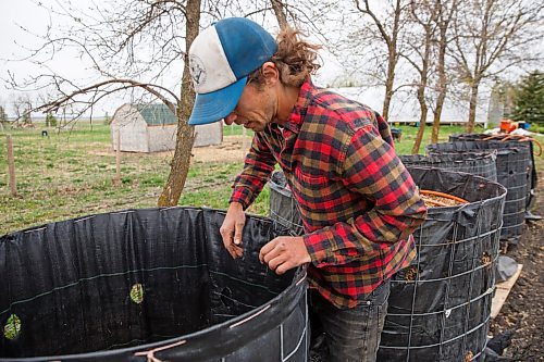 MIKE DEAL / WINNIPEG FREE PRESS
Hearts and Roots Farm, Elie, MB run by Justin Girard and Britt Embry. 
Justin at one of the compost bins on the farm.
See Eva Wasney 49.8 story
200521 - Thursday, May 21, 2020.