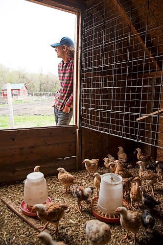 MIKE DEAL / WINNIPEG FREE PRESS
Hearts and Roots Farm, Elie, MB run by Justin Girard and Britt Embry. 
They keep a few chickens with plans to grow that part of the farm.
See Eva Wasney 49.8 story
200521 - Thursday, May 21, 2020.