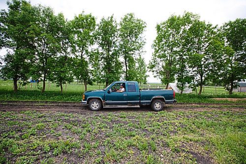 MIKE DEAL / WINNIPEG FREE PRESS
Hearts and Roots Farm, Elie, MB run by Justin Girard and Britt Embry. 
Justin with some fruit trees in the back of his truck heading out to the field. They are planting Pear, Plum and Haskap's.
See Eva Wasney 49.8 story
200608 - Monday, June 08, 2020.