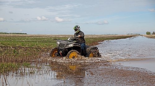 MIKE DEAL / WINNIPEG FREE PRESS
Grain farmer, Colin Penner, on an ATV checking out how much water accumulated on his field after a rainstorm. He uses the ATV with special tires that helps create troughs for the water to flow along and drain off into the ditches.
See Eva Wasney 49.8 story
200525 - Monday, May 25, 2020.
