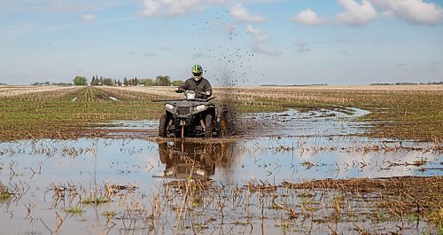 MIKE DEAL / WINNIPEG FREE PRESS
Grain farmer, Colin Penner, on an ATV checking out how much water accumulated on his field after a rainstorm. He uses the ATV with special tires that helps create troughs for the water to flow along and drain off into the ditches.
See Eva Wasney 49.8 story
200525 - Monday, May 25, 2020.