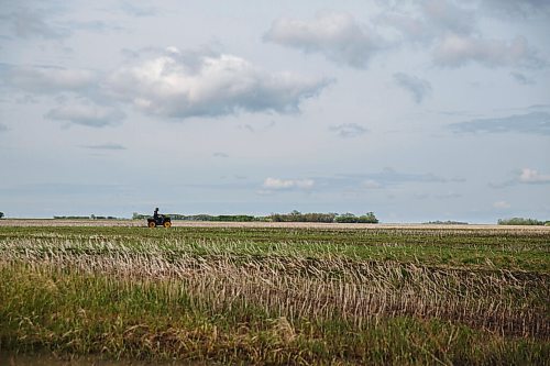 MIKE DEAL / WINNIPEG FREE PRESS
Grain farmer, Colin Penner, on an ATV checking out how much water accumulated on his field after a rainstorm.
See Eva Wasney 49.8 story
200525 - Monday, May 25, 2020.