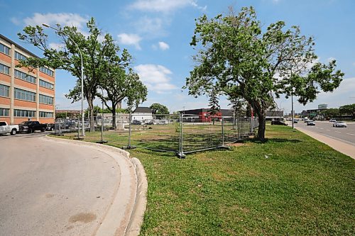 RUTH BONNEVILLE / WINNIPEG FREE PRESS

Local - Encampment fenced off

A fence has been established on the previous site of tent city near the MMF and the Disraeli Bridge. 

See Nigaan story. 

June 15,  2020