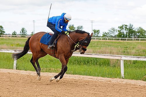 MIKE DEAL / WINNIPEG FREE PRESS
Chantilly Stakes winner Kickalittlebooty and rider Antonio Whitehall at the Assiniboia Downs Friday morning.
200619 - Friday, June 19, 2020.