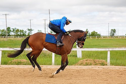 MIKE DEAL / WINNIPEG FREE PRESS
Chantilly Stakes winner Kickalittlebooty and rider Antonio Whitehall at the Assiniboia Downs Friday morning.
200619 - Friday, June 19, 2020.
