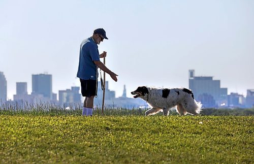 RUTH BONNEVILLE / WINNIPEG FREE PRESS

Local - Standup photo 

Roger York takes his 11-year-old dog,  Geordie, a Border Collie - Great pyrenees cross, for a walk at  Garbage Hill / Westview Park, Thursday morning.  

The duo walk every morning along the crest of the hill with a great view of downtown Winnipeg in all weather but have been going earlier in the day due to the hot Wpg.  weather.

July 2nd,,  2020