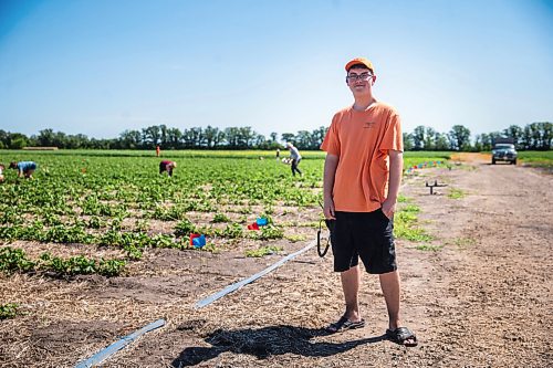 MIKAELA MACKENZIE / WINNIPEG FREE PRESS

Thomas Campbell, employee at Boonstra Farms, poses for a photo on opening day for strawberry picking on Thursday, July 2, 2020. For Gabrielle Piche story.
Winnipeg Free Press 2020.