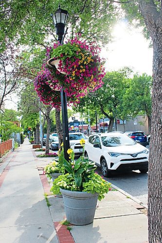 Canstar Community News As summer takes hold, the Corydon Avenue strip has once again come alive.