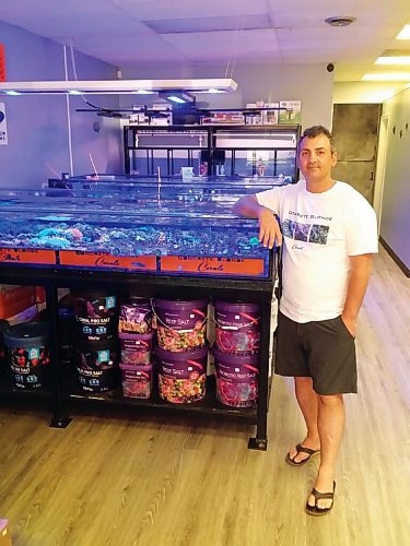 Canstar Community News Concrete Blonde Corals owner George Kiriakidis has everything you need to pursue the challenging and rewarding hobby of coral tanks.