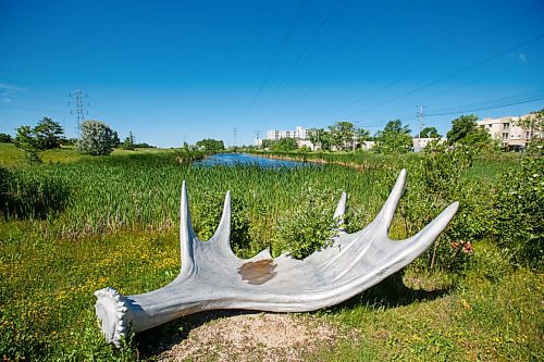 MIKE DEAL / WINNIPEG FREE PRESS
The sculpture Land/mark can be found on the Bishop Grandin Greenway between St. Anne's and St. Marys.
See Brenda Suderman Sunday special 
200708 - Wednesday, July 08, 2020.