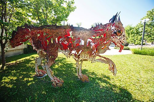 MIKE DEAL / WINNIPEG FREE PRESS
The sculpture garden at 219 Provencher Blvd. which has the piece by Joseph Fafard called Entre chien et loud (2011).
See Brenda Suderman Sunday special 
200708 - Wednesday, July 08, 2020.