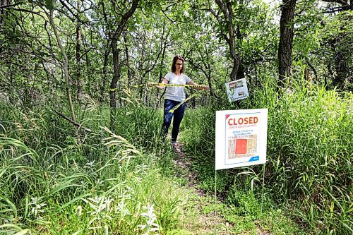 RUTH BONNEVILLE / WINNIPEG FREE PRESS

Local - Coyotes in Assiniboine Forest 
Emergency closure at Assiniboine Forest

 Photo of closure off Chalfont where there is a hiking path.  Education Officer with the City of Wpg puts up sign and caution tape at opening.  

Winnipeg, MB  A large portion of the Assiniboine Forest is temporarily closed due to dangerous coyote activity.

 

The closure affects the area between Corydon Avenue and Grant Avenue, from Chalfont Road to the west border of Tuxedo Golf Club.

 
It comes after numerous reports of coyotes exhibiting predatory, stalking behaviour and will remain in effect indefinitely under orders by Manitoba Conservation.

 
July 14th, 2020