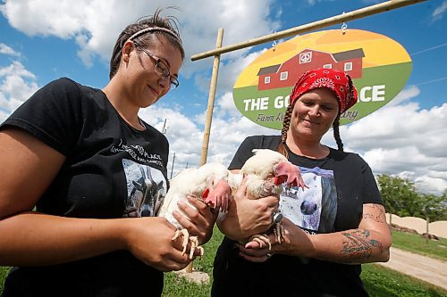 JOHN WOODS / WINNIPEG FREE PRESS
Janine Watts, right, and Kristi Wieffering, volunteers at The Good Place Farm Rescue & Sanctuary, spend time with Phoenix and Lola at the rescue farm just east of Winnipeg Tuesday, January 14, 2020. The two hens were found alive among a truckload of dead chicken carcasses at the landfill. The Good Place rescued the hens.

Reporter: Piche