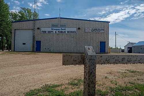 JESSE BOILY  / WINNIPEG FREE PRESS
Fishflies cover the Fire Department and Public works building at Winnipeg Beach on Monday. Monday, July 20, 2020.
Reporter: