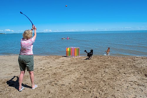 JESSE BOILY  / WINNIPEG FREE PRESS
Lynn Wilkinson throws a ball for her dogs Cinder and Cooper at the Winnipeg Beach Dog Beach on Monday. Monday, July 20, 2020.
Reporter: