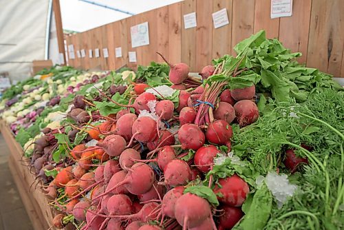 JESSE BOILY  / WINNIPEG FREE PRESS
 Beets and other veggies at Jardins St. Leon in St. Vital on Wednesday. Wednesday, July 22, 2020.
Reporter: Alison