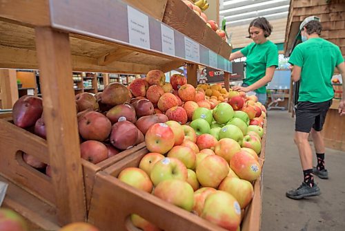JESSE BOILY  / WINNIPEG FREE PRESS
Workers stock apples at Jardins St. Leon in St. Vital on Wednesday. Wednesday, July 22, 2020.
Reporter: Alison