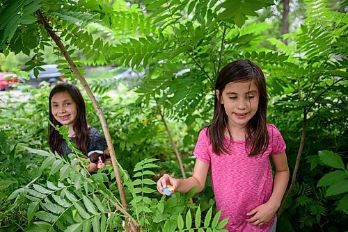 JESSE BOILY  / WINNIPEG FREE PRESS
Twins Kimber, left, and Auryla Louis play in their jungle in their neighbours yard by their home on Thursday. The twins received the Sunshine Fund which allow them to go to camp. Thursday, July 23, 2020.
Reporter: Nadya
