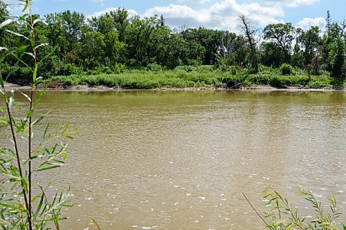 JESSE BOILY  / WINNIPEG FREE PRESS
Sewer outflow into the Assiniboine River by Bourkevale Park on Wednesday. Wednesday, July 29, 2020.
Reporter: Joyanne