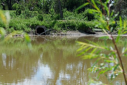 JESSE BOILY  / WINNIPEG FREE PRESS
Sewer outflow into the Assiniboine River by Bourkevale Park on Wednesday. Wednesday, July 29, 2020.
Reporter: Joyanne