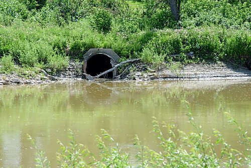 JESSE BOILY  / WINNIPEG FREE PRESS
Sewer outflow into the Assiniboine River by Bourkevale Park on Wednesday. Wednesday, July 29, 2020.
Reporter: Joyanne