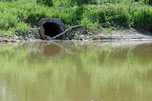 JESSE BOILY  / WINNIPEG FREE PRESS
Sewer outflow into the Assiniboine River by Bourkevale Park on Wednesday. Wednesday, July 29, 2020.
Reporter: Joyanne