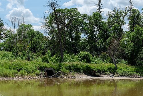 JESSE BOILY  / WINNIPEG FREE PRESS
Sewer outflow into the Assiniboine River by Bourkevale Park on Wednesday. Wednesday, July 29, 2020.
Reporter: Joyanne