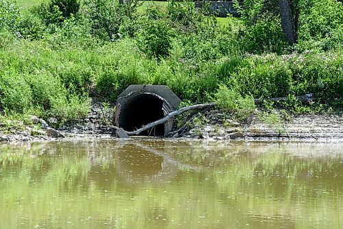 JESSE BOILY  / WINNIPEG FREE PRESS
Sewer outflow into the Assiniboine River by Bourkevale Park on Wednesday. Wednesday, July 29, 2020.
Reporter: Joyanne