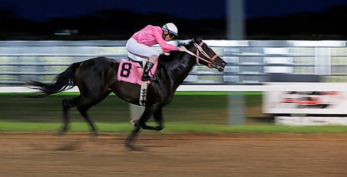 JOHN WOODS / WINNIPEG FREE PRESS
A horse heads to the finish at Assiniboia Downs in Winnipeg Monday, August 3, 2020. 

Reporter: bell