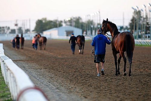 JOHN WOODS / WINNIPEG FREE PRESS
Horses head back to the barns after their race at Assiniboia Downs in Winnipeg Monday, August 3, 2020. 

Reporter: bell