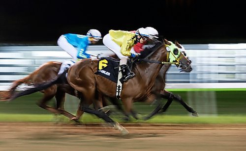 JOHN WOODS / WINNIPEG FREE PRESS
Gambler (6) leads the pack in the opening stretch in the 72nd running of the Manitoba Derby at Assiniboia Downs in Winnipeg Monday, August 3, 2020. Mongolian Wind (5) took the big prize at the line.

Reporter: bell