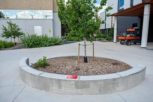 JESSE BOILY  / WINNIPEG FREE PRESS
Social distancing signs at the Red River College on Wednesday. Wednesday, Aug. 5, 2020.
Reporter: Maggie