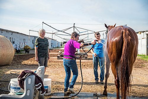 MIKAELA MACKENZIE / WINNIPEG FREE PRESS

Sisters Donna (left), Linda, and Marion Johnston give Wire Me The Money a bath at the Assiniboia Downs backstretch in Winnipeg on Friday, Aug. 7, 2020. The three trainers are having a career year. For George Williams story.
Winnipeg Free Press 2020.